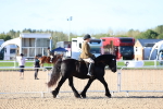 SBM_08738