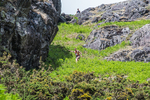 Coniston Seniors-18