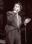 Robert Palmer