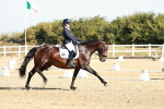 SBM_016885