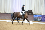 SBM_003523