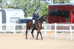 SBM_16882