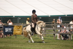 SBM_06915