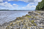 Arnside Coast