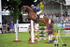 EQUISCOT 9253