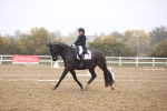 Class 10-11 - AM5-FEI PSG portfolio