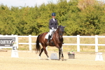 SBM_018377