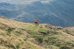 HBMR-Leg 4-118