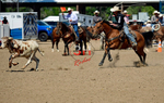 3HRodeo8-11-25_PRCASteer_07069_