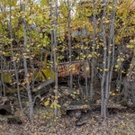 Pripyat Vehicle Graveyard