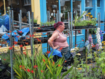 Flower Vendor 2 2019