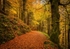 Devils Glen Walk