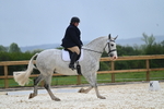 WJ7_5678