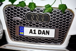 ADN-132