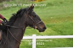 BPP_4621