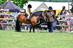 SBM_05902