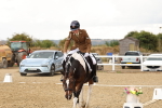 SBM_006768