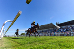 Race 2 2.05pm Old Gravel Pits Lodges EBF Novice Stakes portfolio