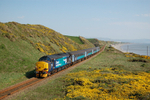 JL - 12.5.16 37423 2C34 14.35 Carlisle - Barrow, Nethertown