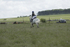 BVHT 140517  NXC -15
