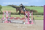 BPP_8031