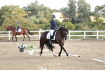 SBM_009806