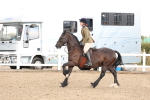 SBM_07551