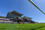Race 1 2.00pm John Smith's Racing Handicap portfolio