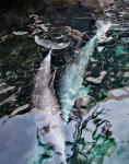 Dolphins 1