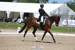162-MONBEG_GOLD_DUST-Michael_Owen-WEDTrotUp+DR portfolio