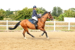 SBM_002809