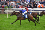 Race 6 4.45pm Sky Bet Stakes portfolio