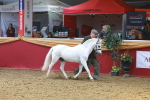 SBM_16579