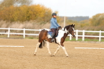 SBM_000753