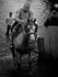 Appleby 016
