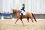 SBM_008046