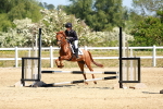 SBM_007491