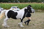 WJ6_5725