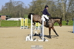 8 British Novice 90cm Open portfolio