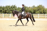 SBM_004033