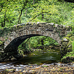 Hisley Wood Packhorse Bridge