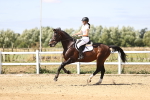 SBM_007959