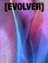 Calla