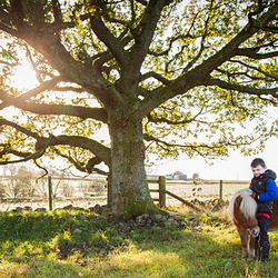Boy & shetland pony