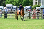 SBM_03780