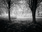 Witshire portfolio