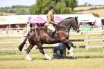 SBM_18691