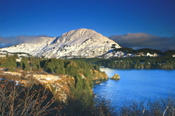 In the West portfolio