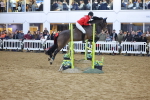 SBM_003670