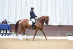 SBM_018746